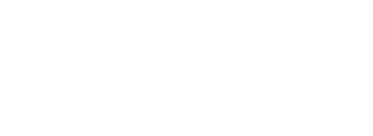 Insurance Valuation Group logo