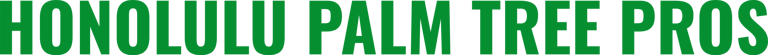 808-427-6397 logo