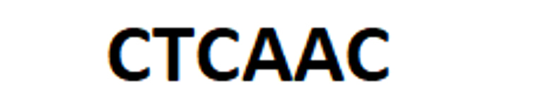Chinese Traditional Cultural and Art Association of Canada logo
