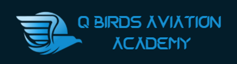 QBIRDS AVAITION ACADEMY logo