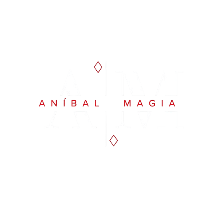 AniMag logo