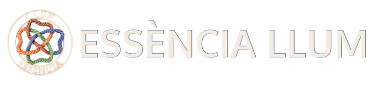 Essencia Llum logo