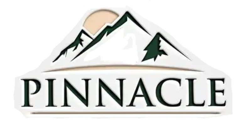 Pinnacle Enterprises logo