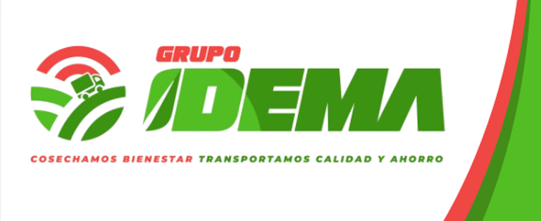 Grupo idema logo