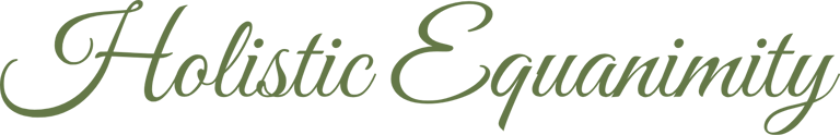 Holistic Equanimity - Sanación Holistica logo