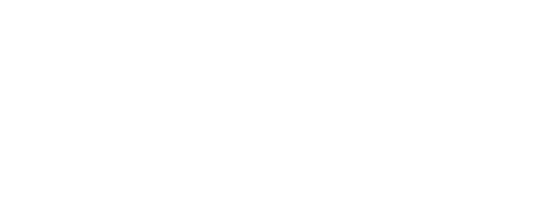Lime Street Consulting logo