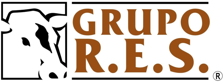 Grupo RES logo