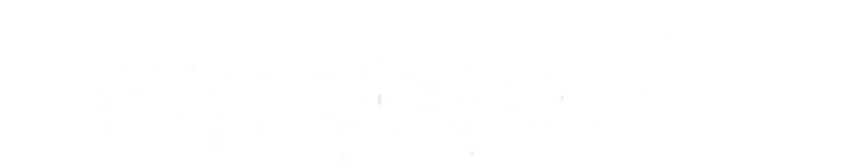 TOP WEB TELECOM logo