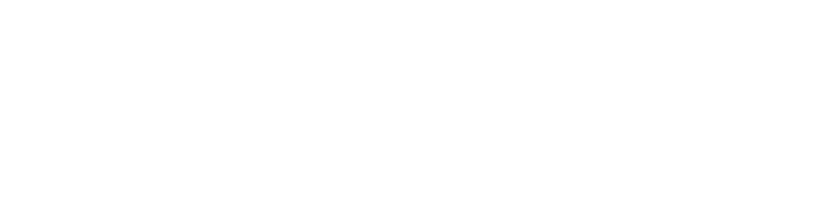 Punk Online Fanzine logo