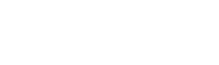 Flores Servian Construcciones SRL logo