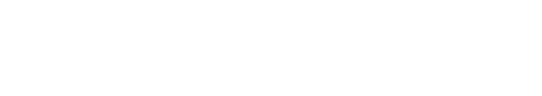 Aerolog logo