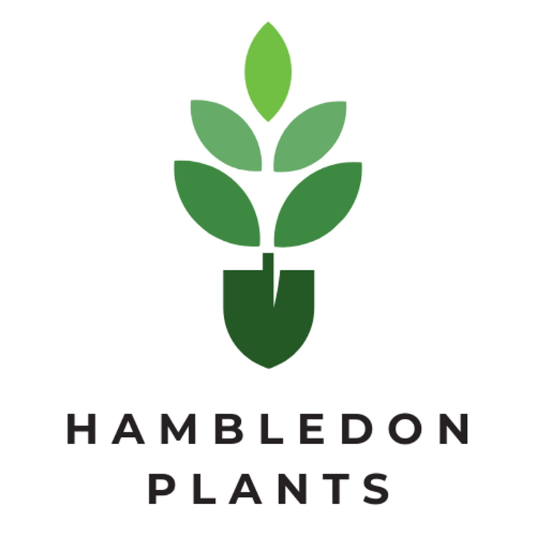 Hambledon Plants logo