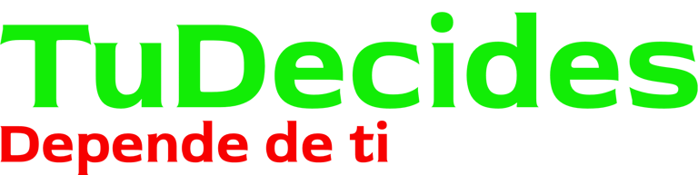TuDecides logo