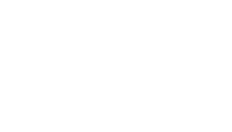 MDS Security logo