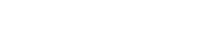 Level Up Media logo