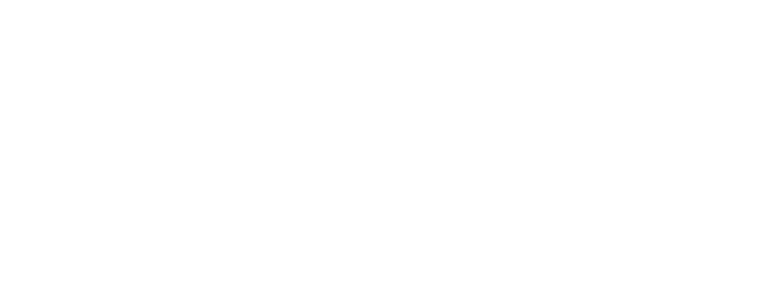 Iron Valley Investments logo