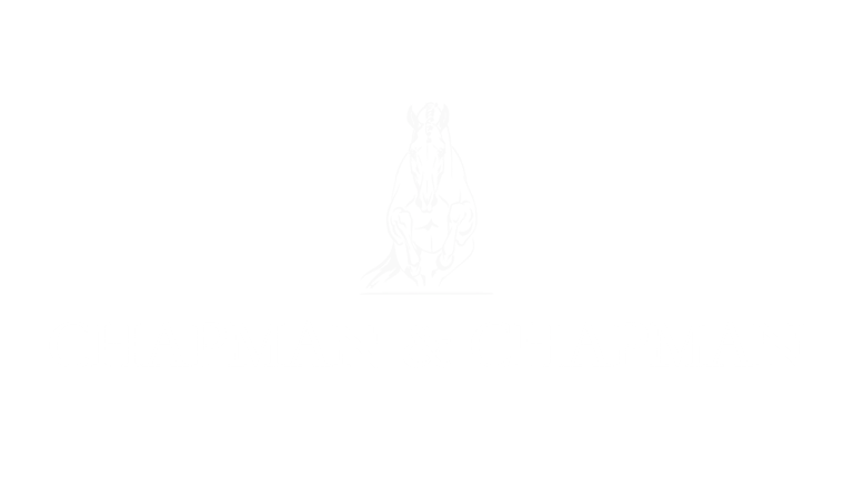 Chapman & Chapman logo