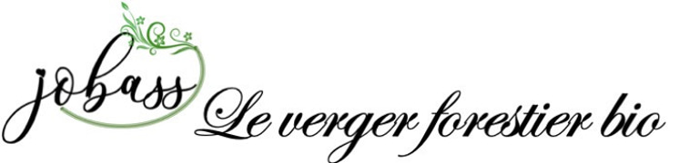JOBASS - Le Verger Forestier Bio au Sénégal logo