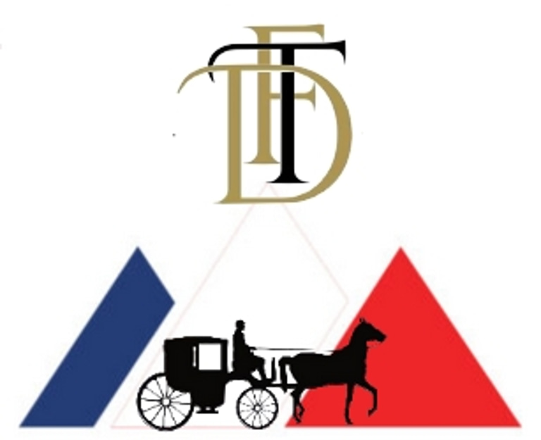 French Touch Driver logo