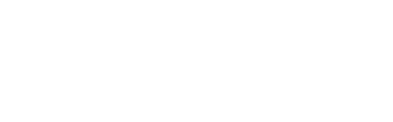 Britannia Ventures logo