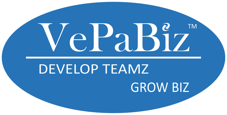 VePaBiz Consultants logo