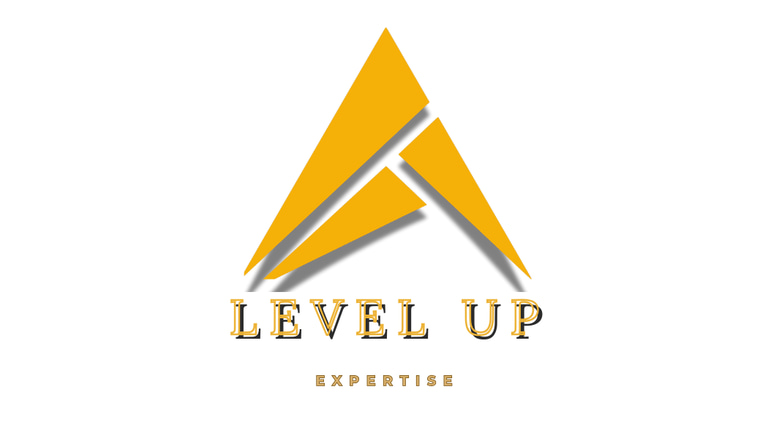 LEVEL UP EXPERTISE SAS logo