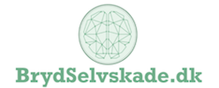 Brydselvskade.dk logo