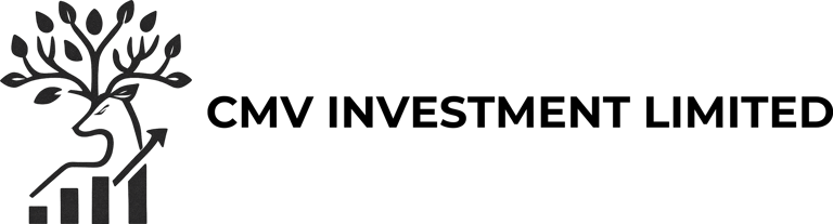CMV INVESTMENT LIMITED logo