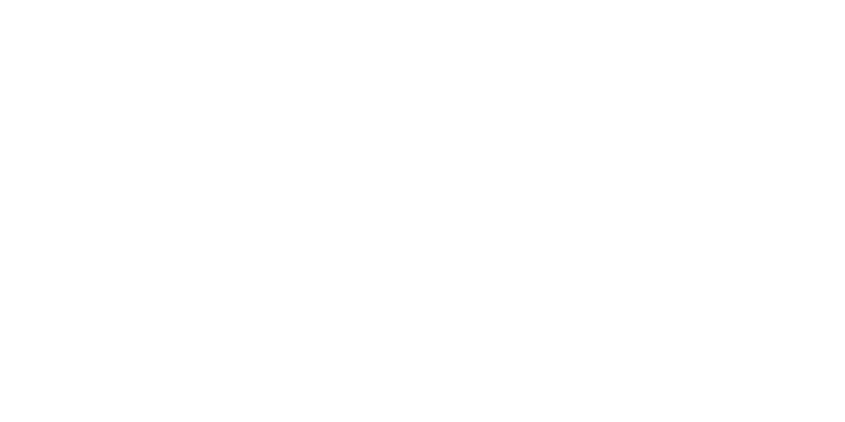 Francesco Fontana Consulente Immobiliare Remax logo