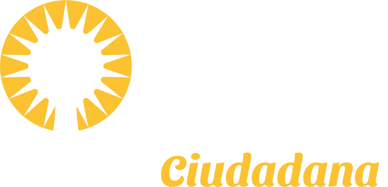 ORGANIZACION POLITICA logo