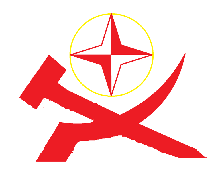 流星报 logo
