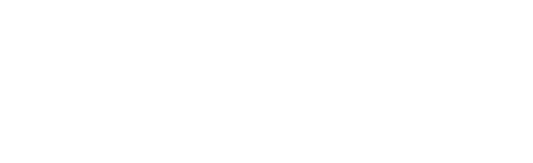 Fly Foiling logo