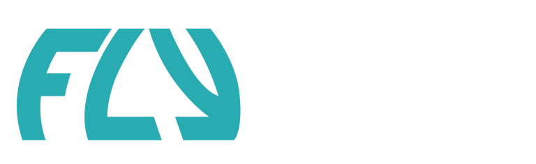 Fly Foiling logo