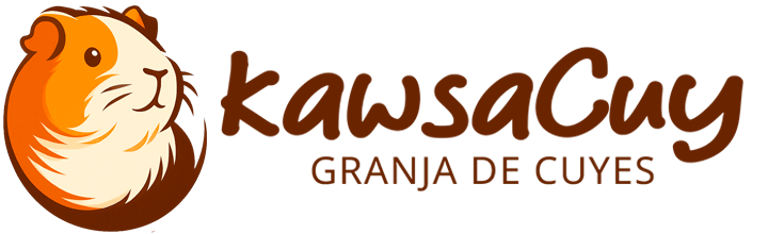 KawsaCuy logo