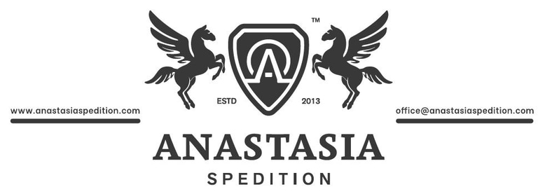 ANASTASIA GROUP logo