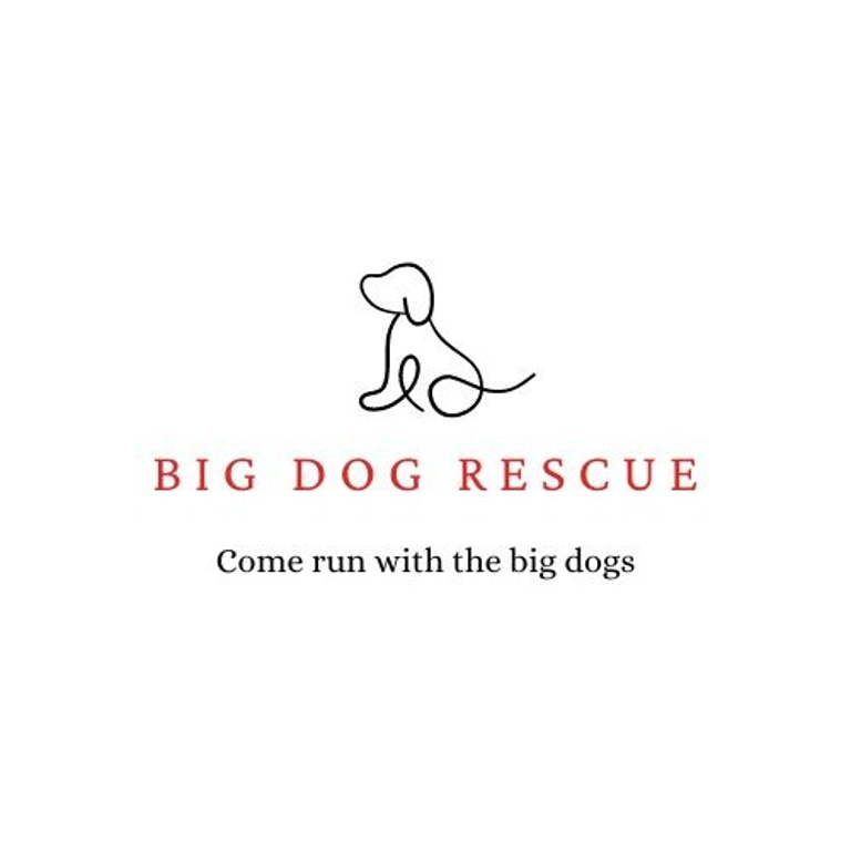 Big Dog Rescue logo