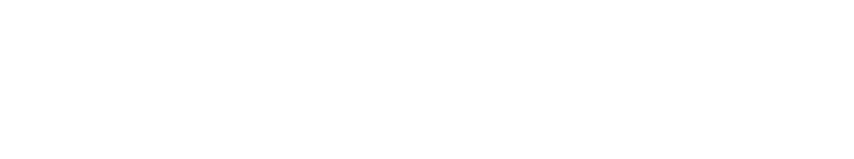 SERVLEAD Academy logo