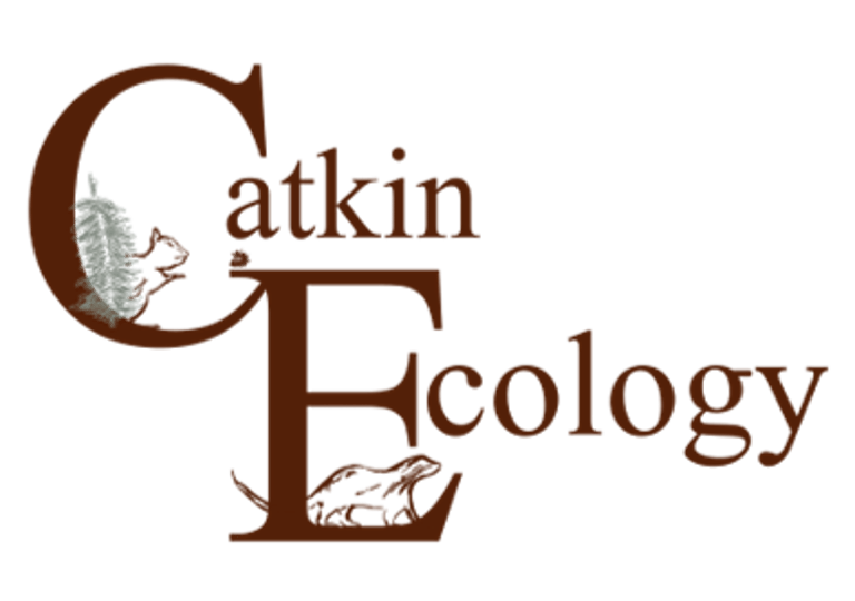 Catkin Ecology logo