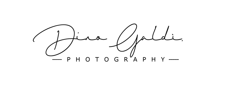 Dino Galdi logo