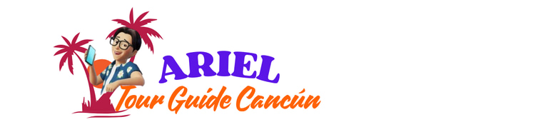 Ariel Tour Guide logo
