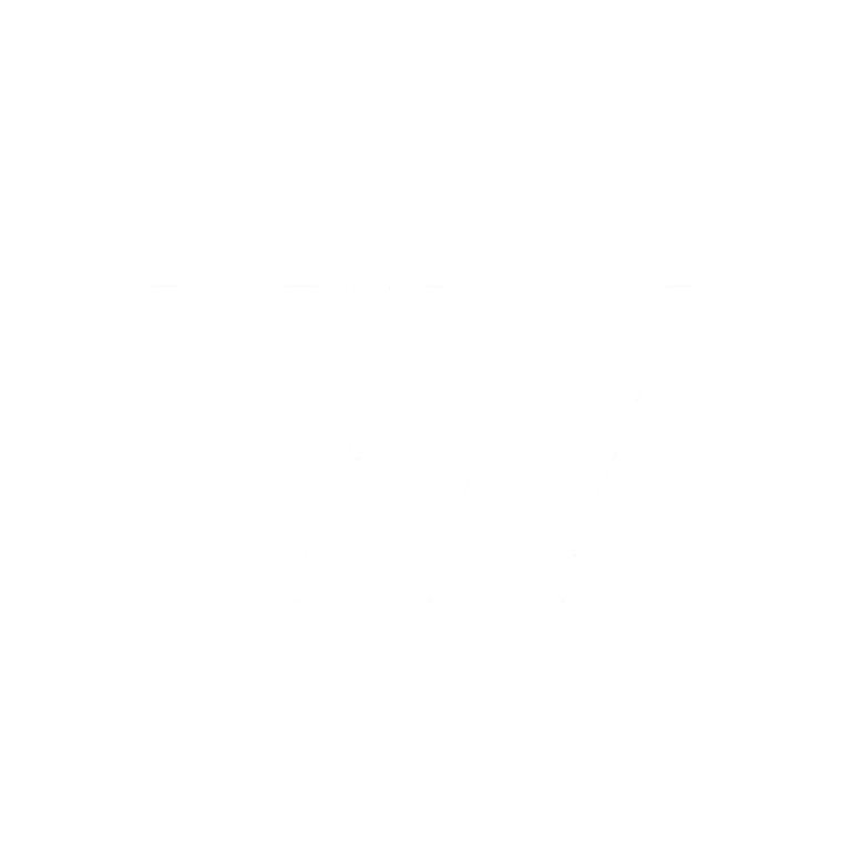werk wise logo