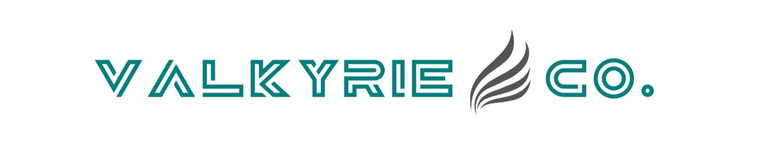 Valkyrie logo