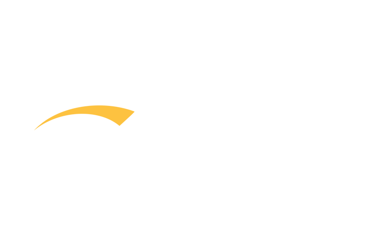 bridgeviewlogistics logo