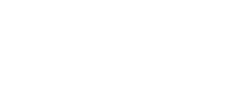 Dream Seeker logo