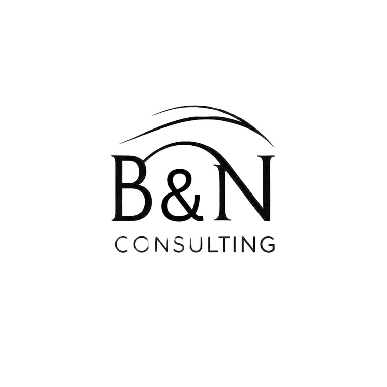 Bridge and Net Consulting logo