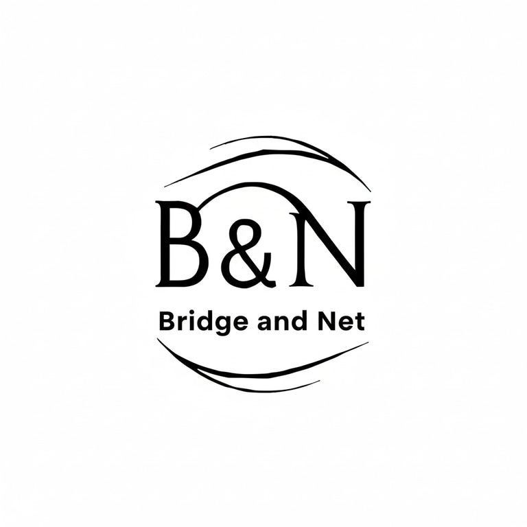 Bridge and Net Consulting logo