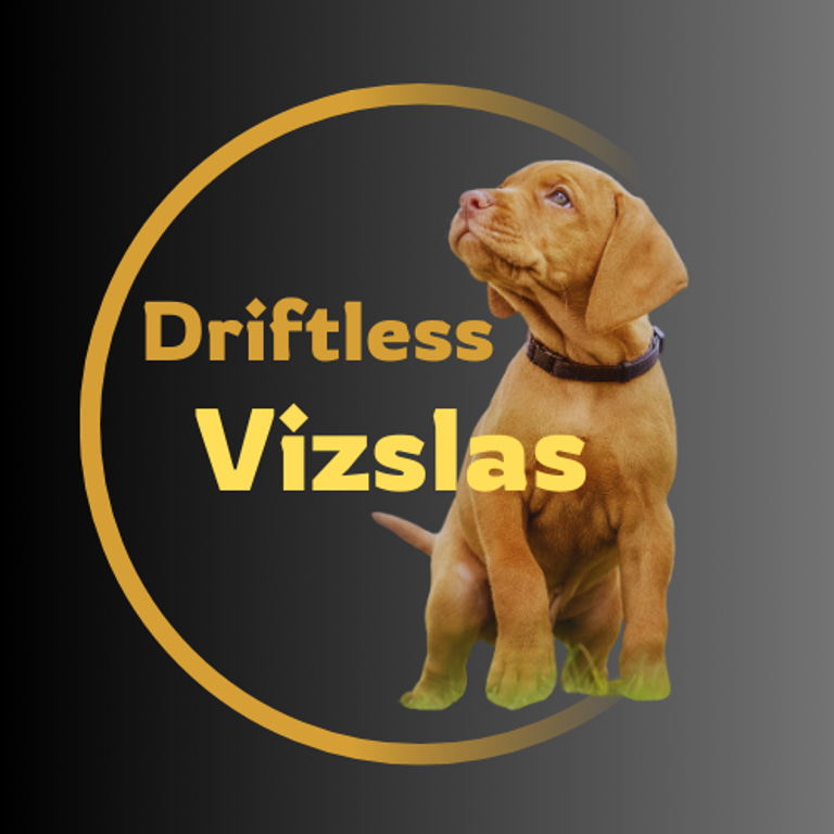 Wisconsin Vizslas logo
