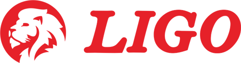 LIGO Machinery logo