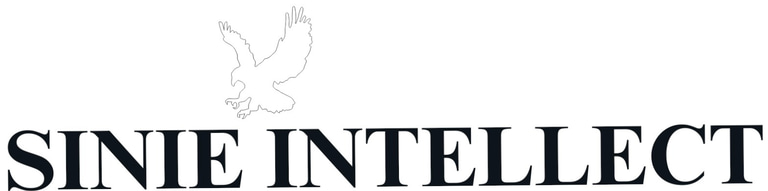 SINIE INTELLECT logo