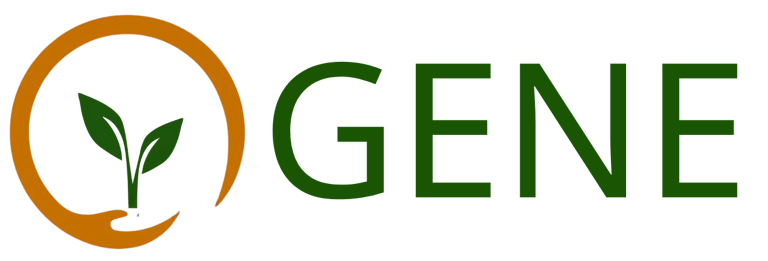Ogene Consultancy logo